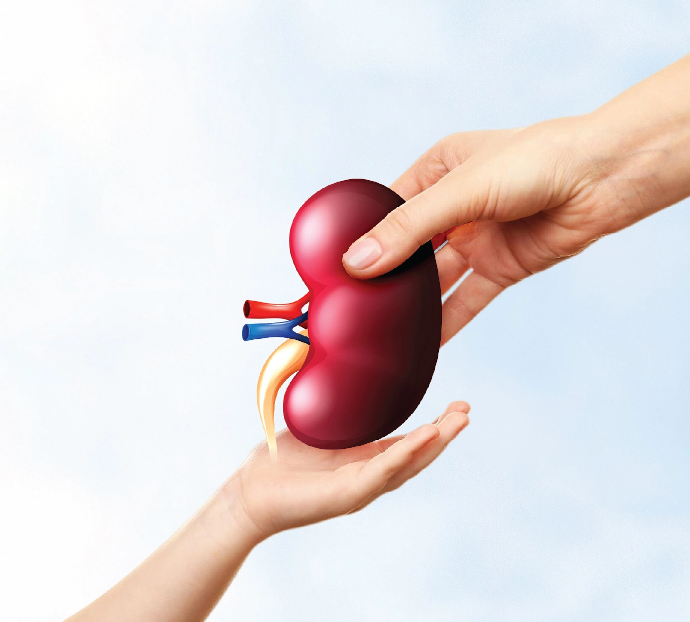 Every Organ donor is a hero. Join the movement to save lives.